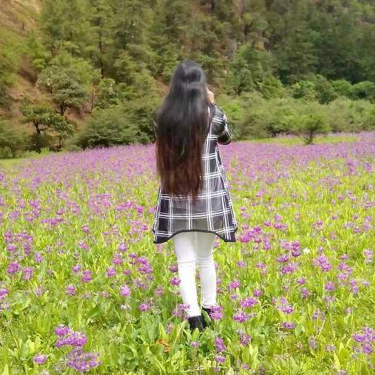 格桑花