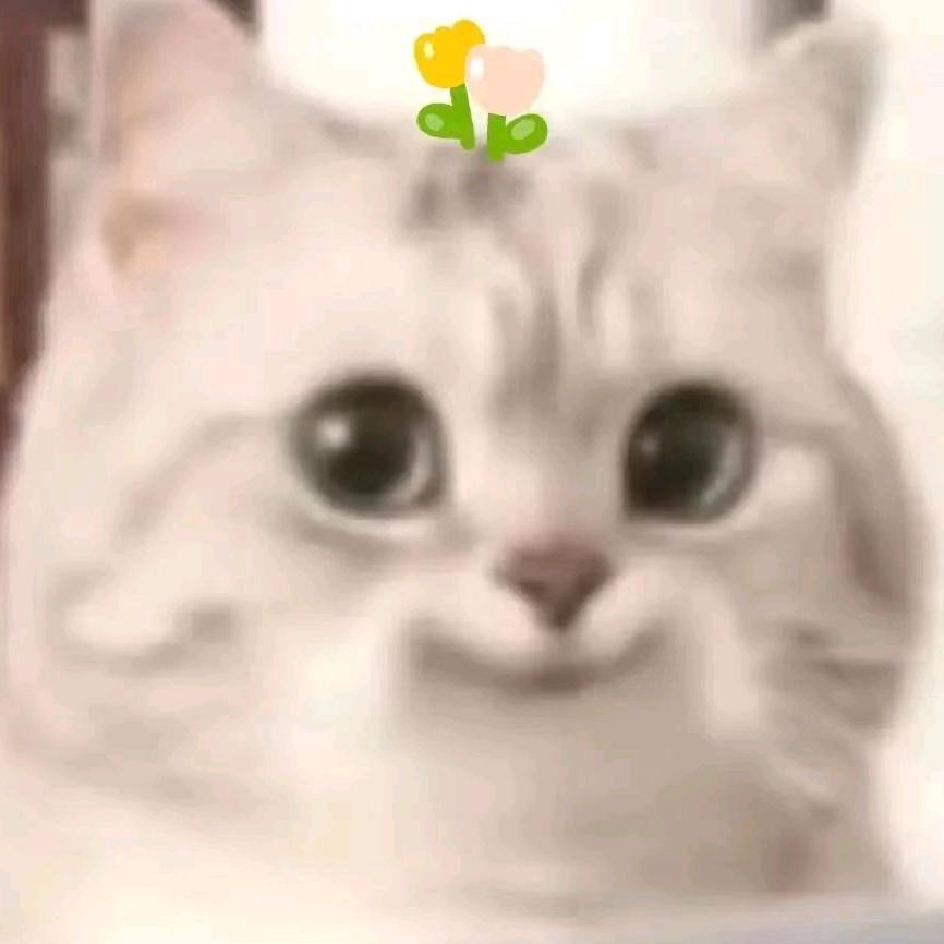 成碟青瓜过大海