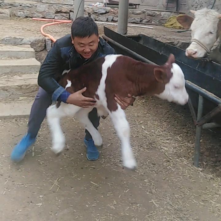 刘大哥追梦人