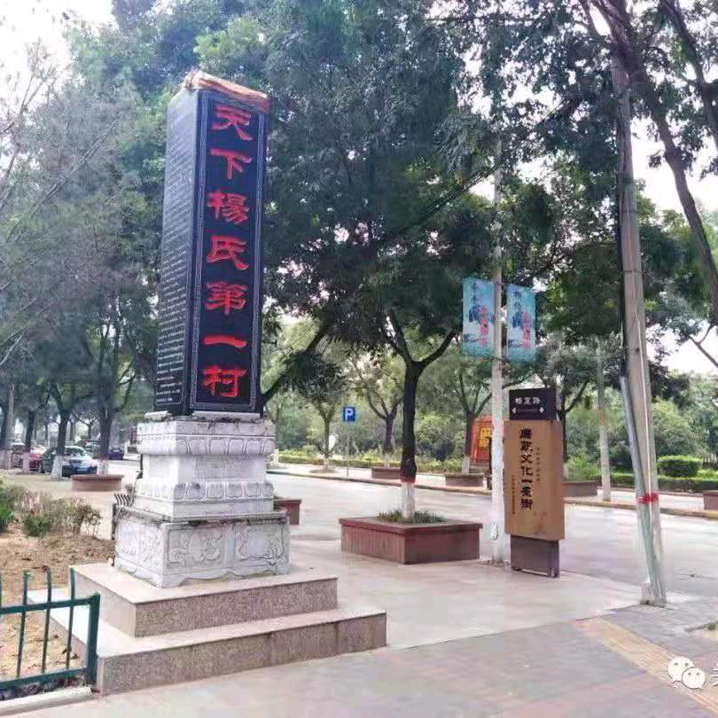 杨氏文化传媒董事长杨晨