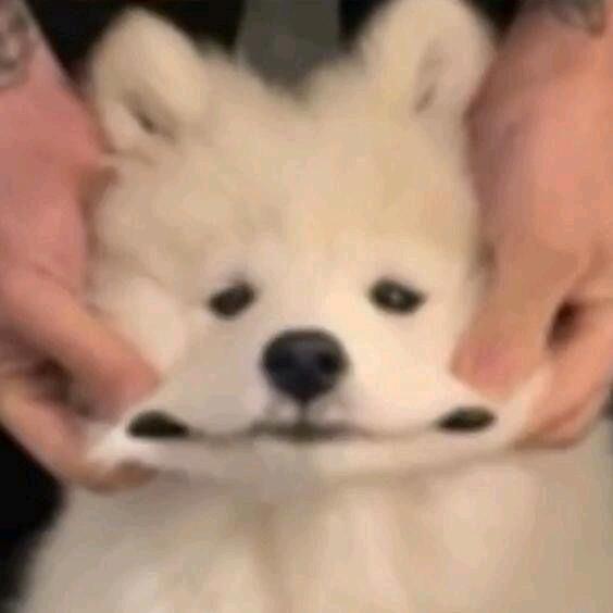 拉屎大王