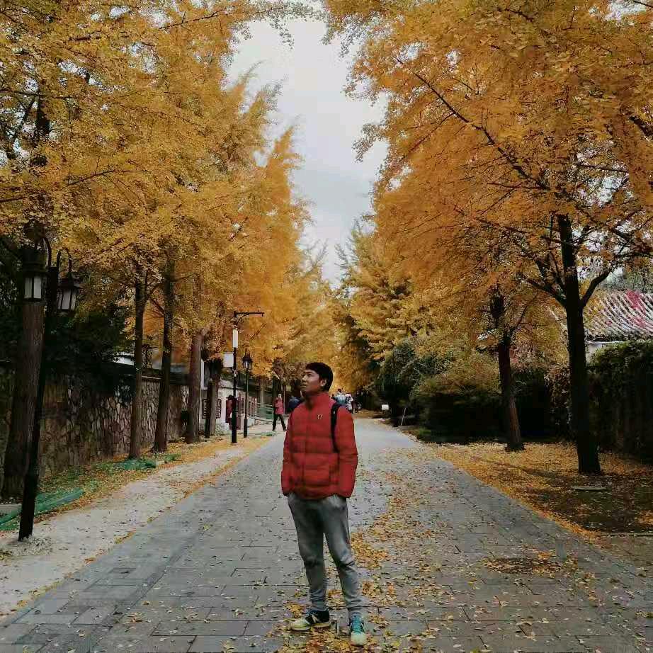 北京郭小强@抖音