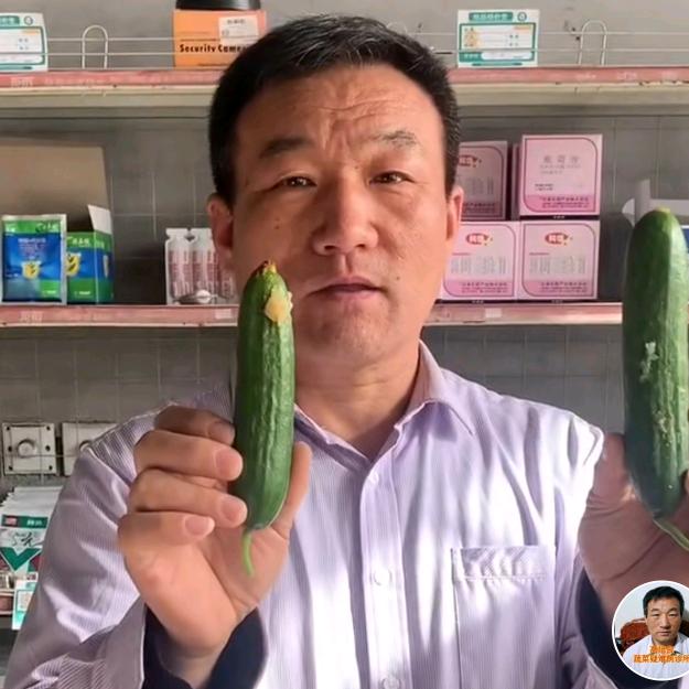 培良蔬菜种植技术指导
