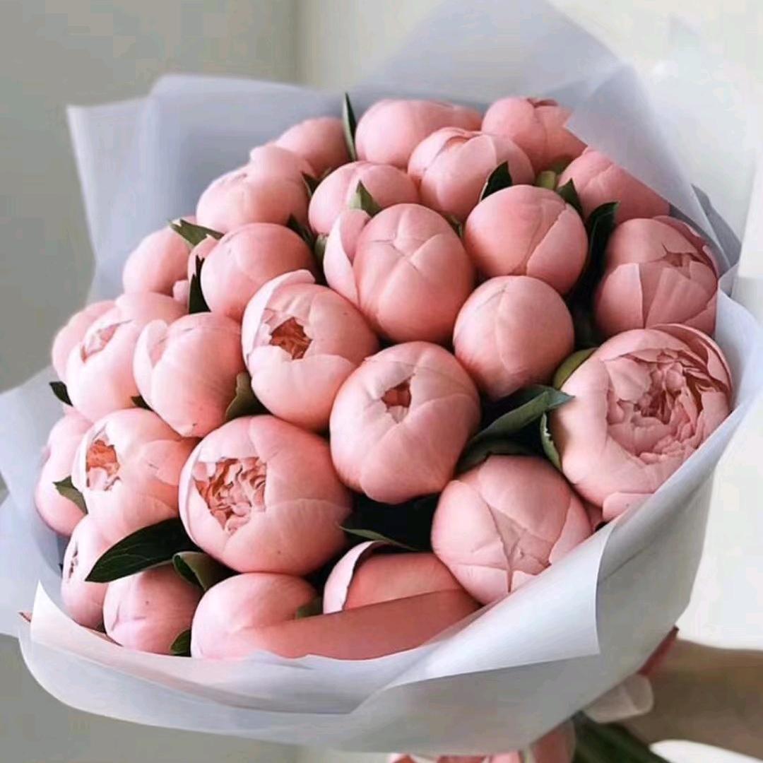 TARANIS泰兰尼斯（遵义吾悦广场店）