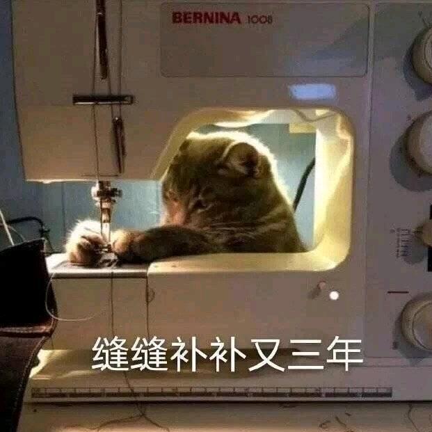 为什么吃肉