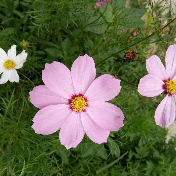 女亽就应该对自己好嚸