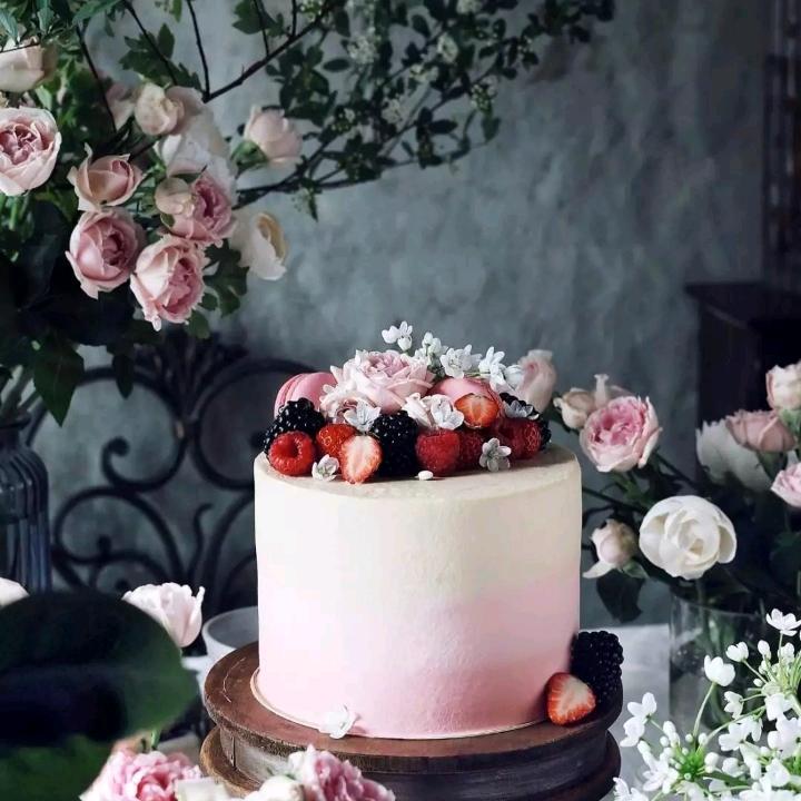 一条资深的咸鱼