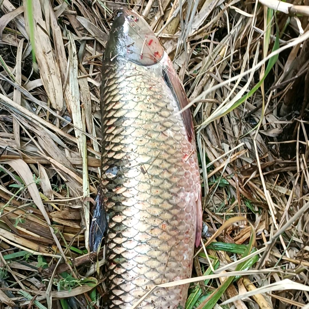 💗罗入🌿᭄好梦꧒ᩚ⁵²⁰