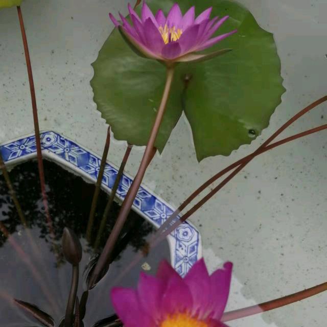 粤来粤好