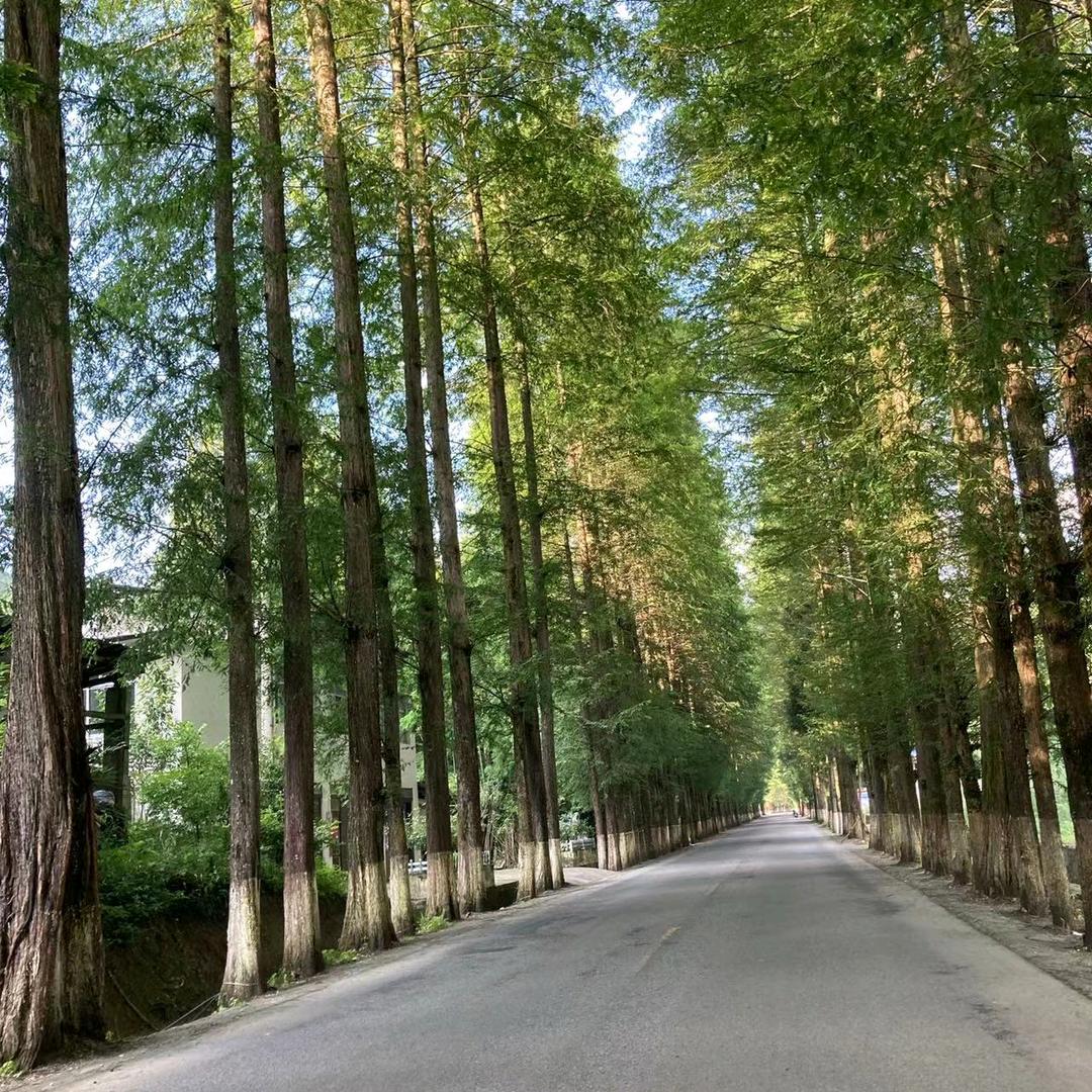 樊家大院子闯哥