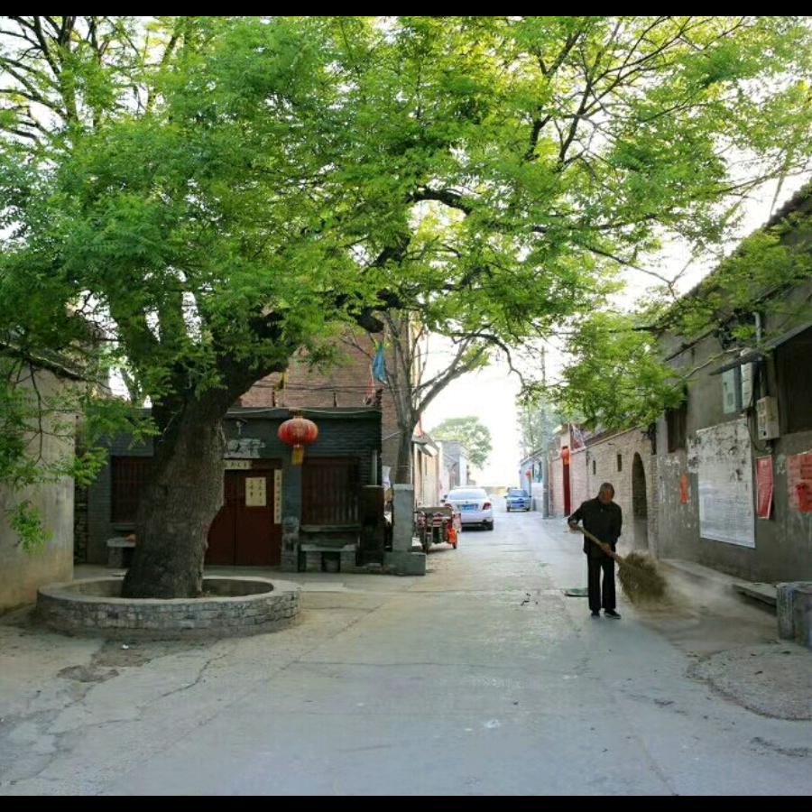 霓虹灯下的哨兵