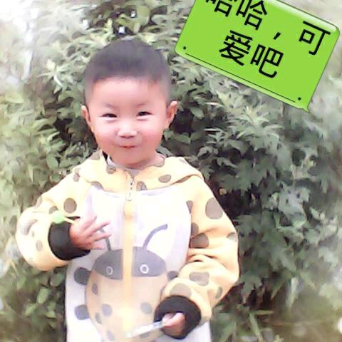 华哥