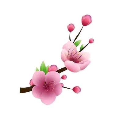 四叶草俗称幸运草