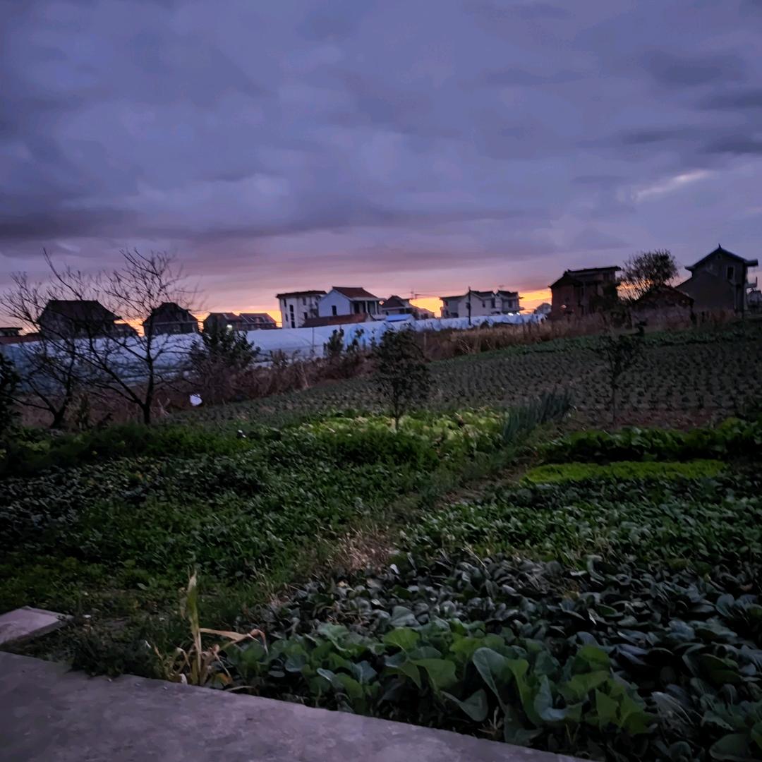 阿香（大号）