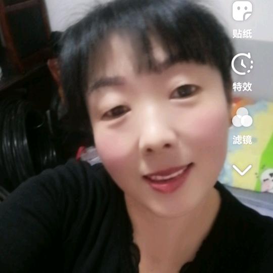 雁南飞