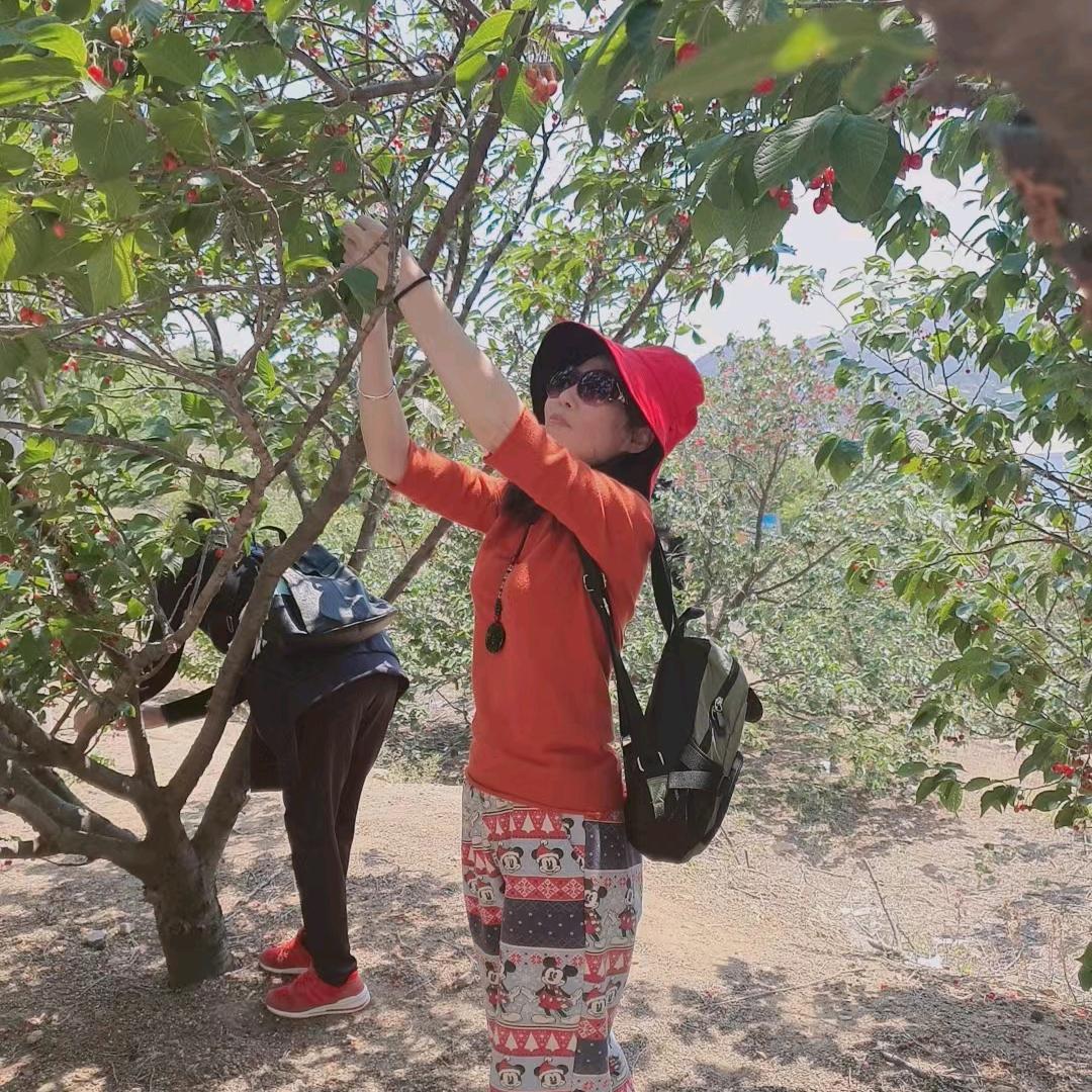 用户1231647452556孤傲