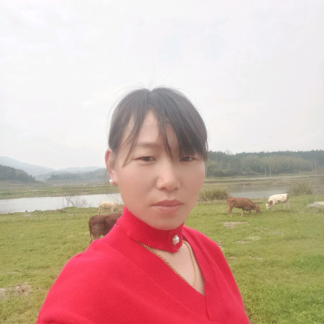 用户。放牛妹