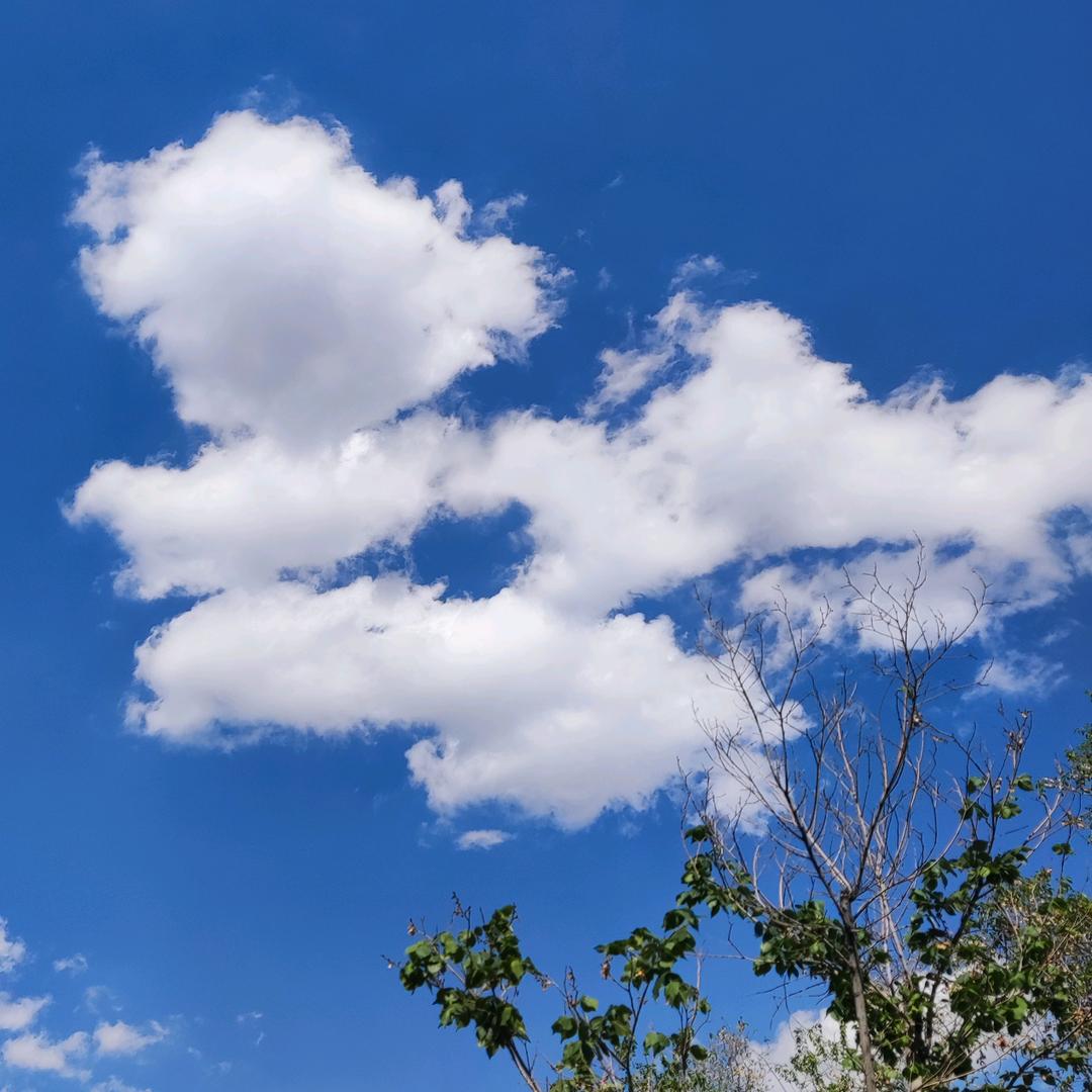 乌市注册公司找我