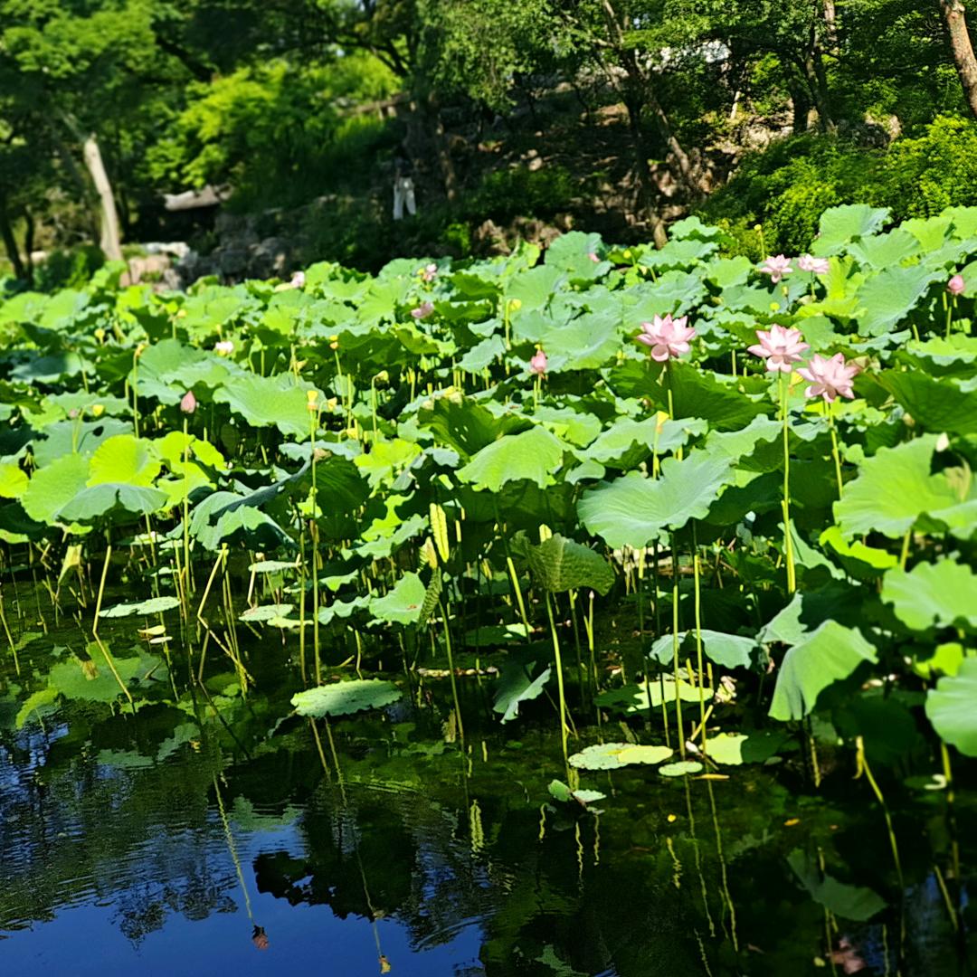 小小，