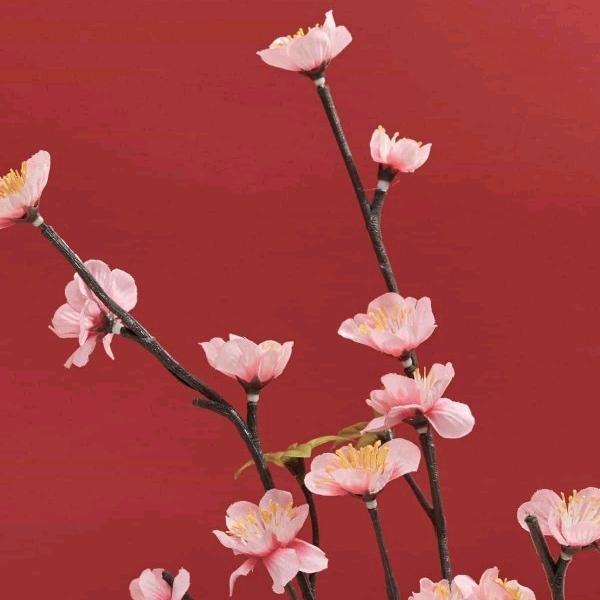 乌拉汐汐