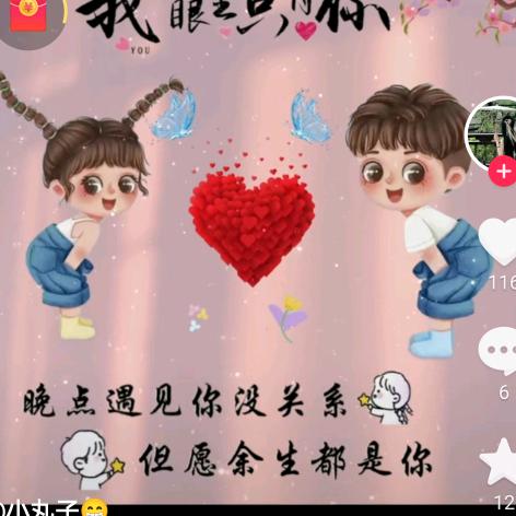 阳光不停留