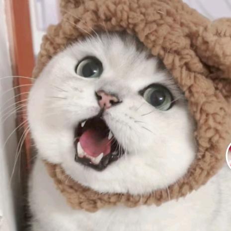 我超超超可爱的