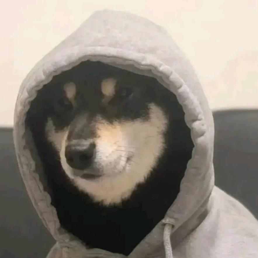 man🐻