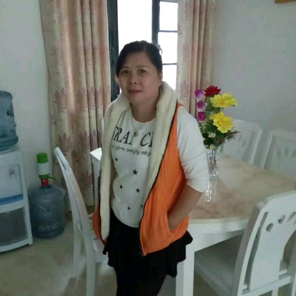 琴