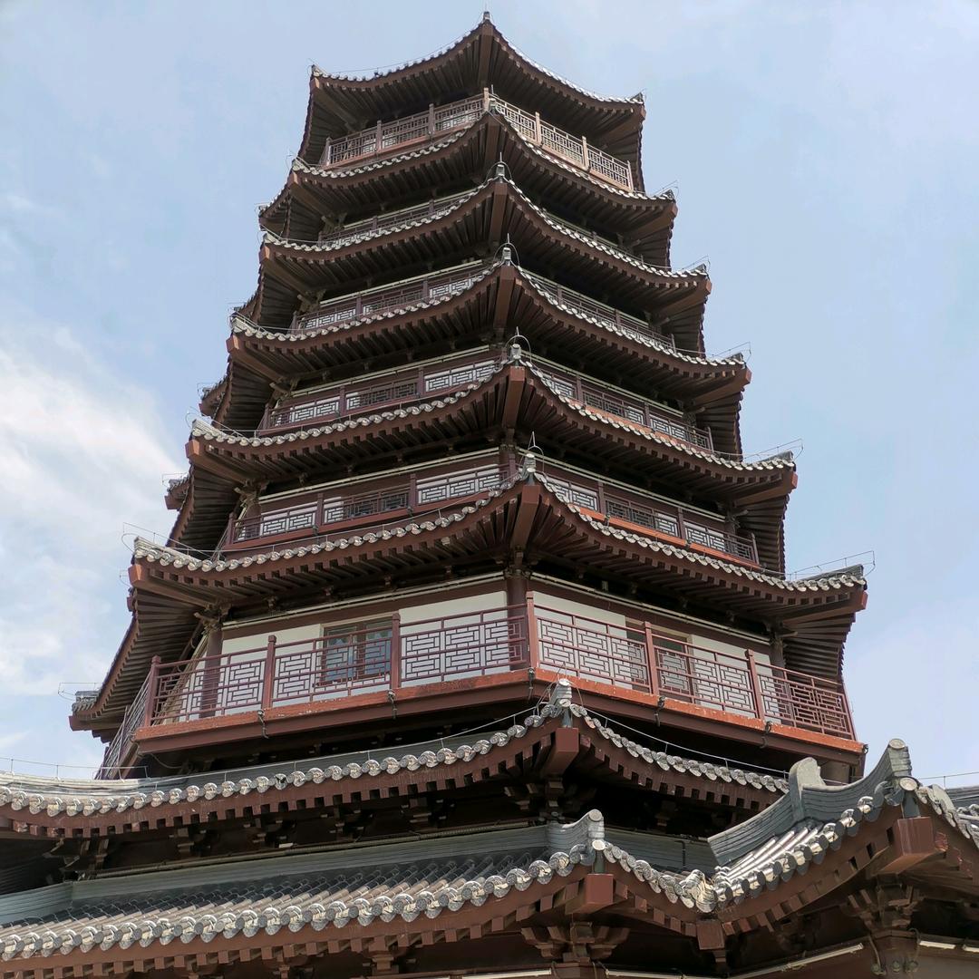 菩提本无树8