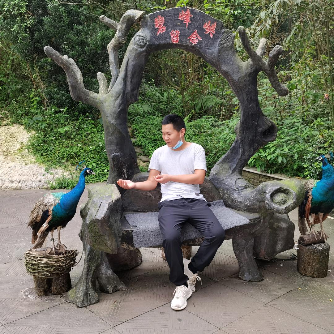小徐花式棉花糖机