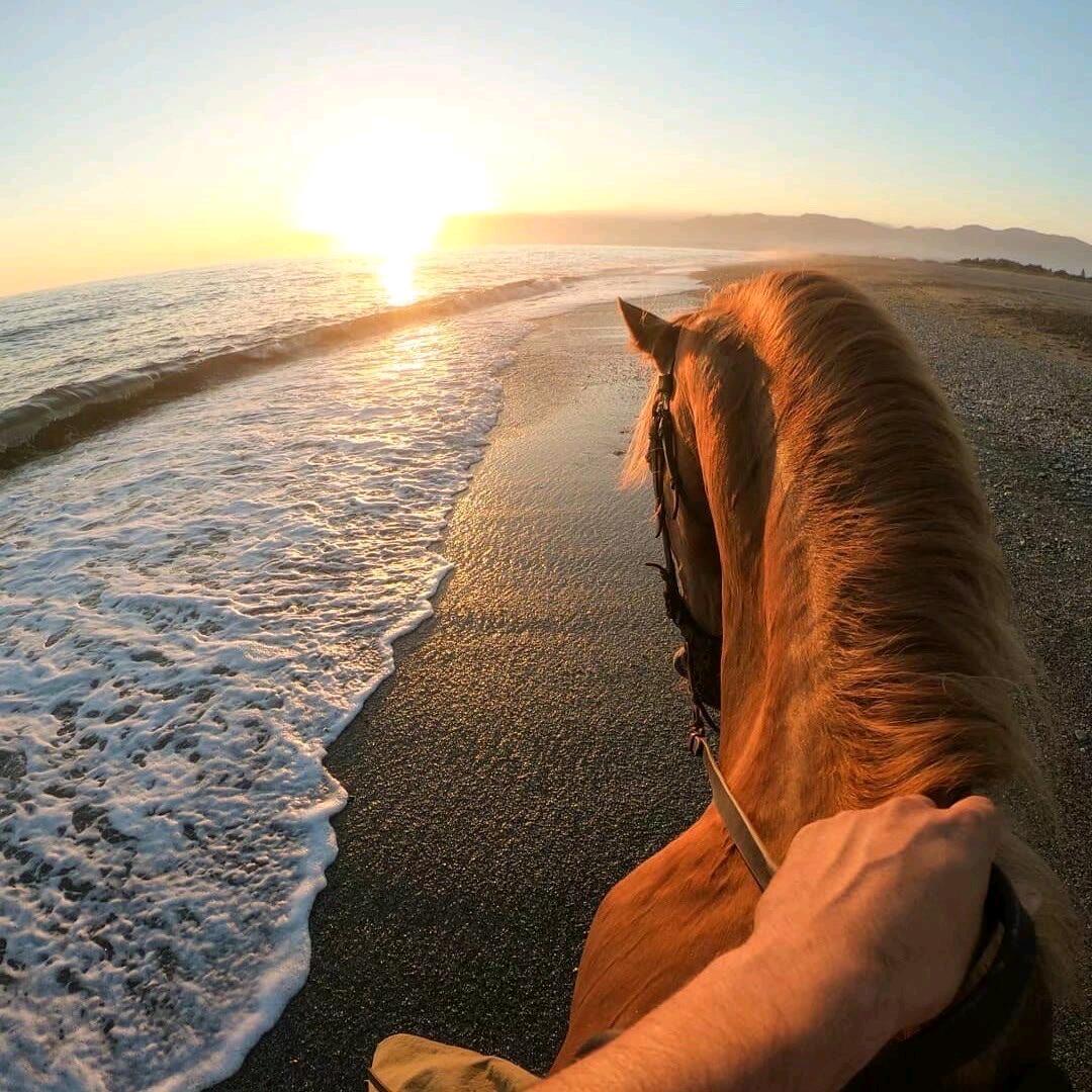 没能成为谁的青春