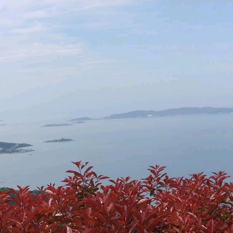 曾经爱过你521992