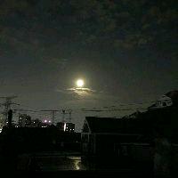 大成小爰