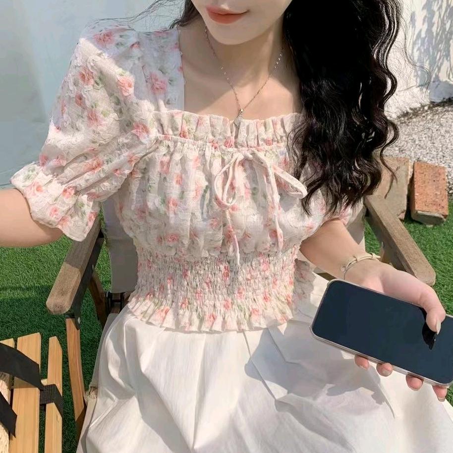 猹在瓜田里找瓜