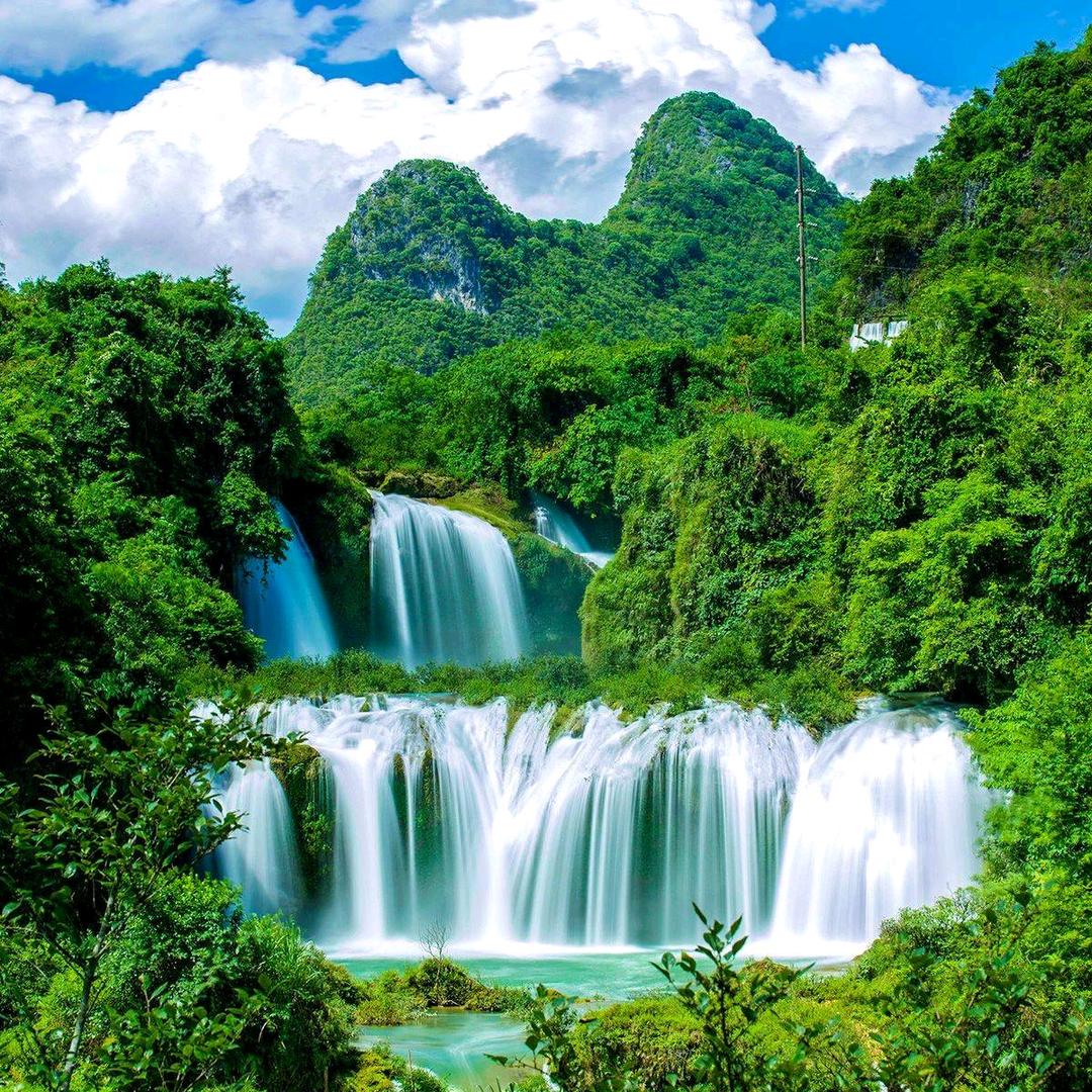 花开花落谁相惜