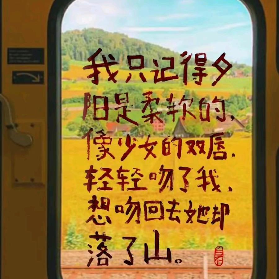 重庆毛肚厂家-杨