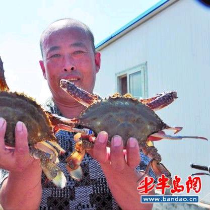 蟹子哥