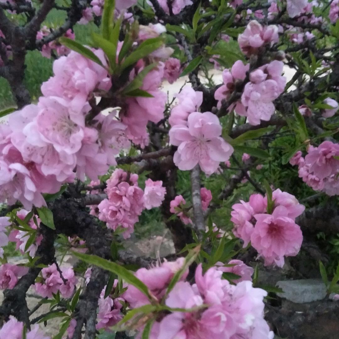 携手美丽快乐相伴