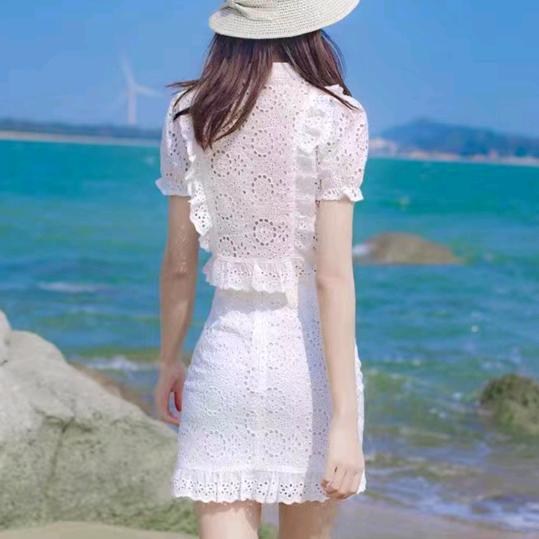 春天的玫瑰