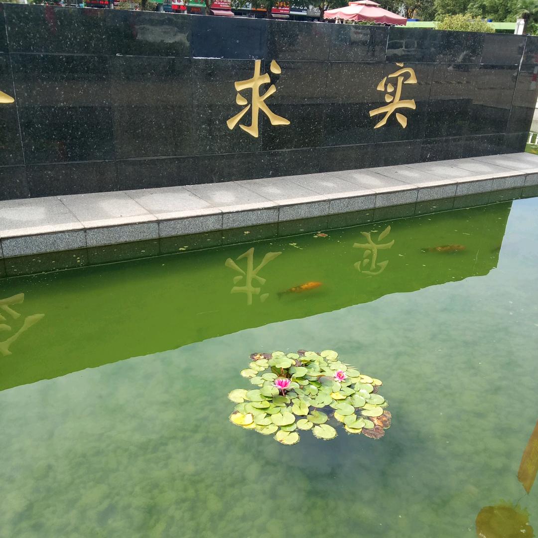 雨
