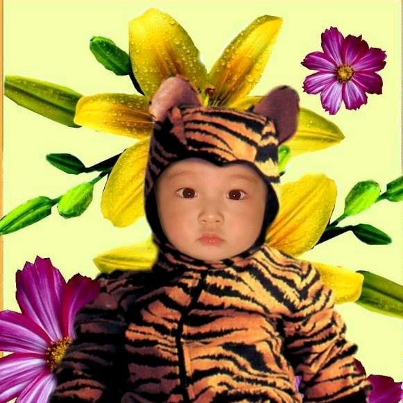 明君