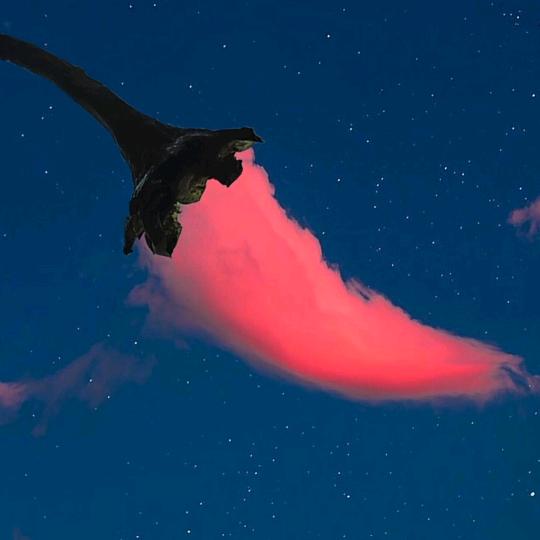 椿樹