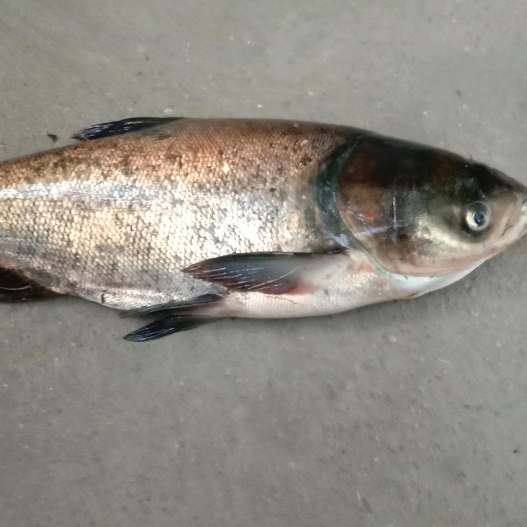用户6385344415784