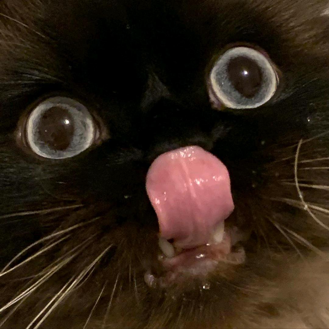 Satoshi