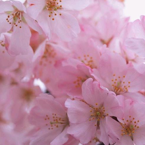 人间正道是沧桑…