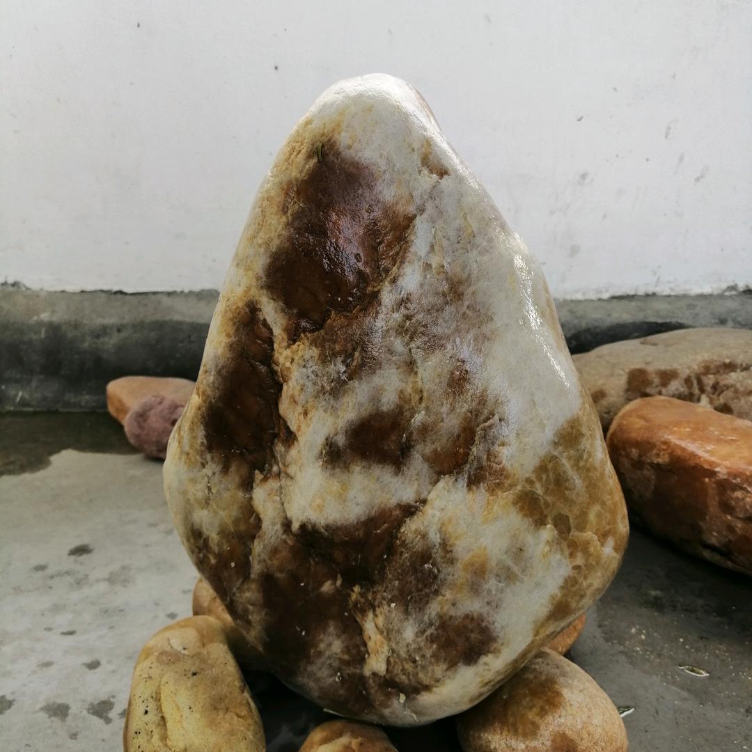 鹧鸪天