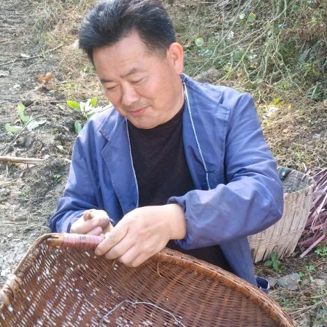 老常的溢水镇华帝