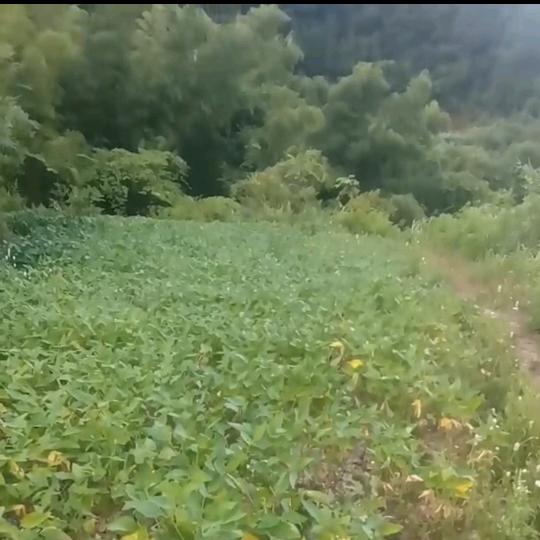 曾经…………………………无………常