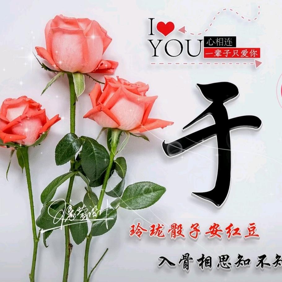 31团，医院对面，菜农，