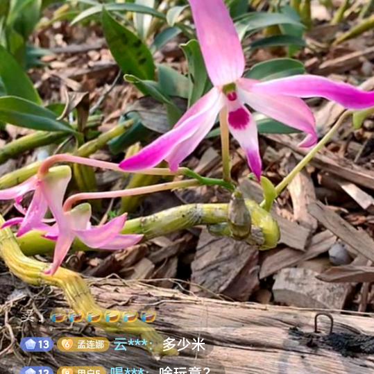 用户334857180  （宁宇）